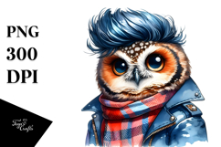 Posing Baby Owl, Contempt PNG Product Image 1