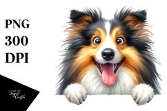 Crazy Collie, Watercolor Clipart Product Image 1