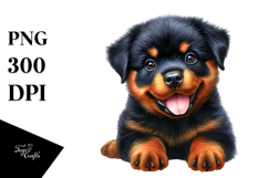 Cute Baby Rottweiler with Big Eyes PNG Product Image 1