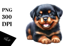 Cute Baby Rottweiler with Big Eyes PNG Product Image 1