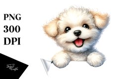 Enthusiastic Baby Bichon Frise Watercolor | Clipart Product Image 3