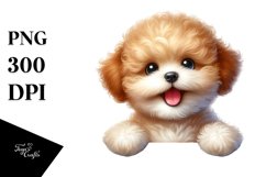 Crazy Looking Baby Bichon Frise | Sublimation | Clipart Product Image 1