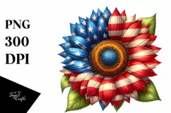 American Flag USA, 4th July, Patriotic Clipart Product Image 8