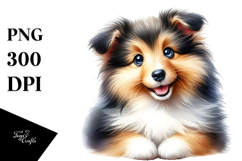 Happy Shetland Sheepdog Crazy Fur PNG Product Image 1