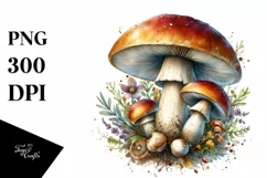 mushroom watercolor splash PNG Product Image 3
