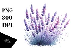 Lavender | Sublimation | Clipart Product Image 1