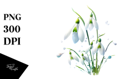 -Like Snowdrop, High-Quality PNG Product Image 1