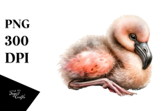 Digital Baby Flamingo, Watercolor Design Product Image 1