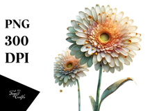Gerbera Material PNG Product Image 1