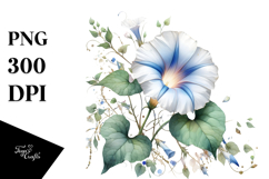 Morning Glory Artwork PNG Product Image 1
