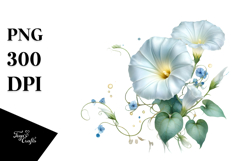 Morning Glory Artwork PNG Product Image 1