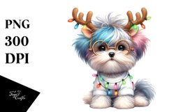 Expressive Baby Havanese, High-Res PNG Product Image 1