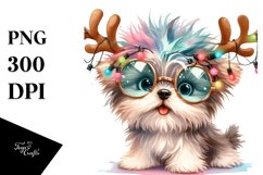 Expressive Baby Havanese PNG Product Image 3