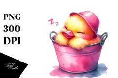 Sleeping Baby Duck in Bucket, PNG Product Image 1