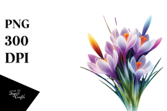 Crocus Artwork PNG Product Image 1