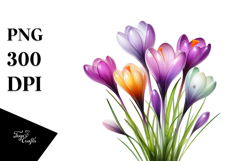 Crocus, High-Res PNG Product Image 1