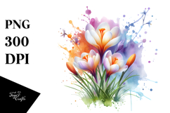 Material Crocus Watercolor Splash PNG Product Image 1