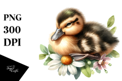 Digital Baby Duck Sleeping on Flower, Transparent PNG Product Image 1