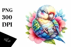 Colorful Baby Parrot Sleeping in Flower | Clipart Product Image 3