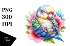 Sublimation|Clipart Product Image 1