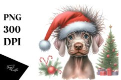 Expressive Weimaraner PNG Product Image 3