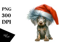 Expressive Baby Weimaraner PNG Product Image 1