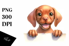 Enthusiastic Baby Vizsla, Invisible Paper | Sublimation | Product Image 3
