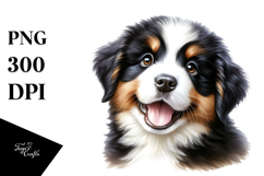 Happy Baby Bernese Mountain Dog Product Image 1
