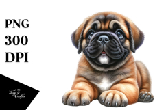 Happy Baby Bullmastiff, Clipart PNG Product Image 1