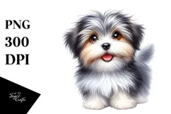 Happy Baby Havanese, Clipart PNG Product Image 1