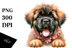 Cute Baby Mastiff, High-Res PNG Product Image 1