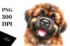 Cute Baby Mastiff, High-Res PNG Product Image 1