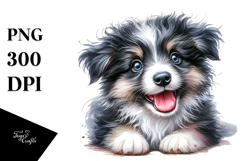 Cute Baby Border Collie, High-Res PNG Product Image 1