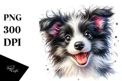 Baby Border Collie PNG Product Image 1
