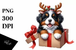 Winter Bernese Mountain Dog in Gift Box PNG Product Image 3