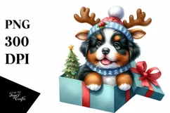 Winter Bernese Mountain Dog in Gift Box PNG Product Image 3