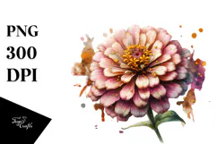 blossoming Zinnia, Watercolor PNG Product Image 1