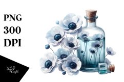 Bottle Anemone Watercolor Clipart Product Image 1