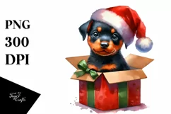 Colorful Doberman with Cool Haircut PNG Product Image 3
