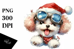 Expressive Face Baby Poodle, Transparent PNG Product Image 1