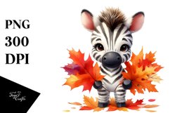 Cute Baby Zebra Drawing | Sublimation | Clipart Product Image 3