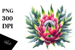 Dragonfruit | Clipart Product Image 3