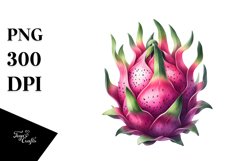 Dragonfruit | Clipart Product Image 1