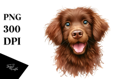 Happy Crazy Fur Baby Chesapeake Bay Retriever PNG Product Image 1