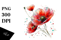Poppy PNG Product Image 1