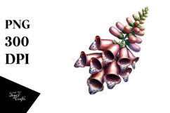 Shiny Foxglove | Sublimation Clipart Product Image 3