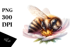 Digital Watercolor Baby Bee PNG Product Image 1