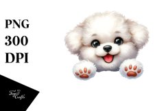 Enthusiastic Bichon Frise Baby | Clipart Product Image 1