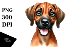 Cute Rhodesian Ridgeback with Big Eyes PNG Product Image 1