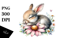 Digital Baby Bunny PNG Product Image 1